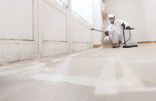 24/7 Emergency Mold Removal experts in Salisbury, PA