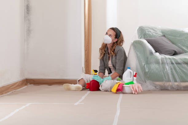 Reliable Mold Removal contractor in Salisbury, PA by WQB Mold Removal